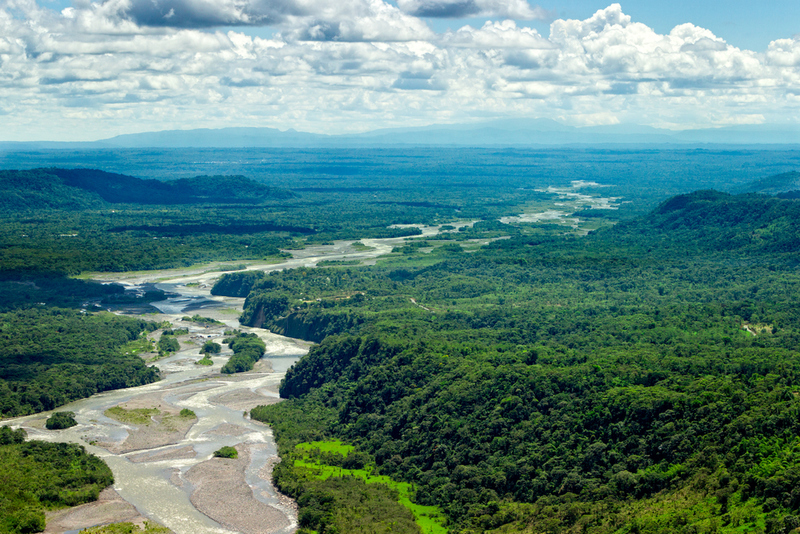 A Combination of Technology and Indigenous Wisdom Is Protecting the Amazon | Ammit Jack/Shutterstock