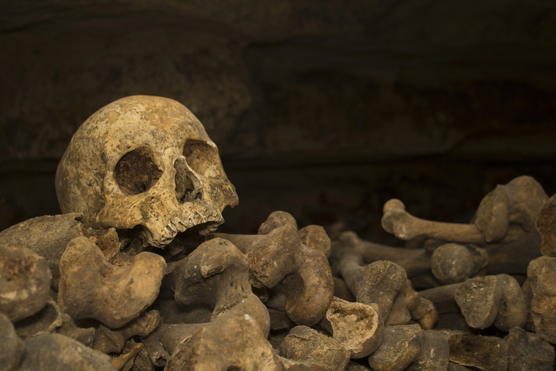 What Lies in the Paris Catacombs | Irina Senkova/Shutterstock