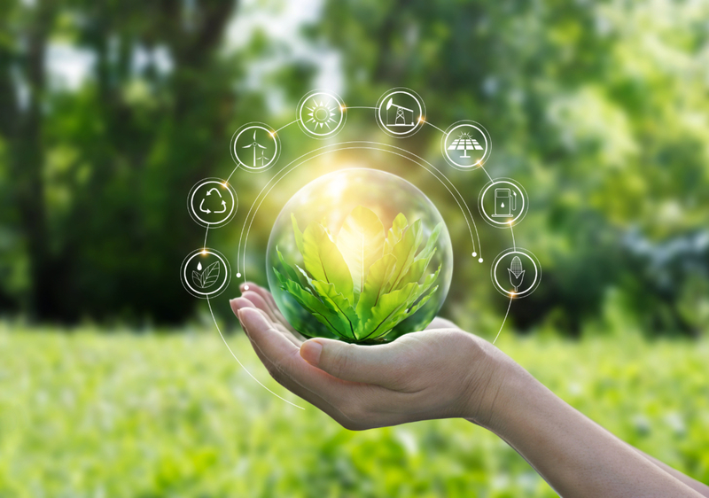 A Glimpse Into the World of Technological Sustainability | PopTika/Shutterstock