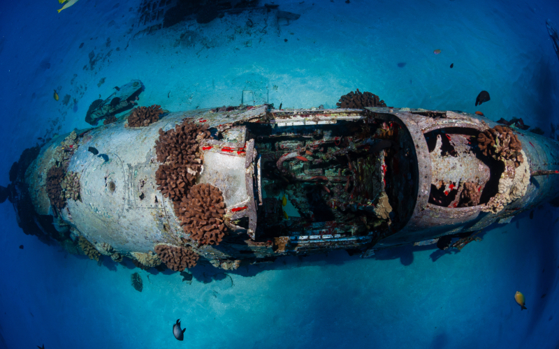 The Corsair Plane | Getty Images Photo by Kevin Boutwell