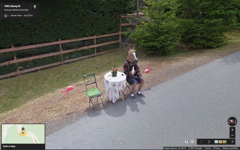 A Horse Eating A Banana, Amongst His Flamingo Buddies | Imgur.com/Mousepad4 via Google Street View