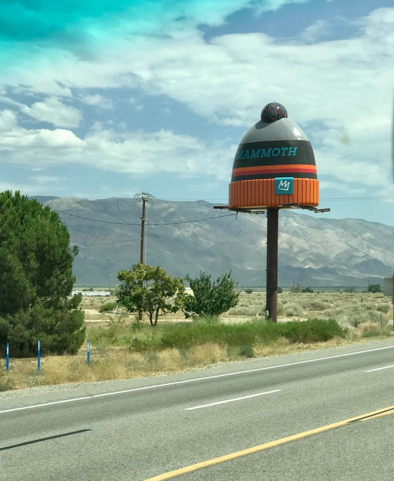 Billboard? More Like Billhat | Reddit.com/ThymeWasting