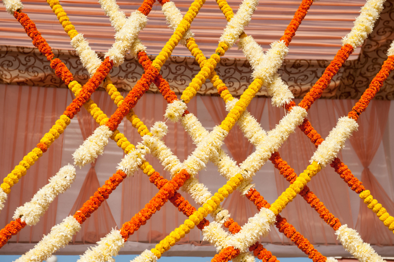 Give Garlands a Boost | Alamy Stock Photo