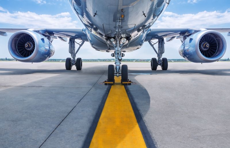 You Can Really Fly a Sandpiper's Plane | Shutterstock