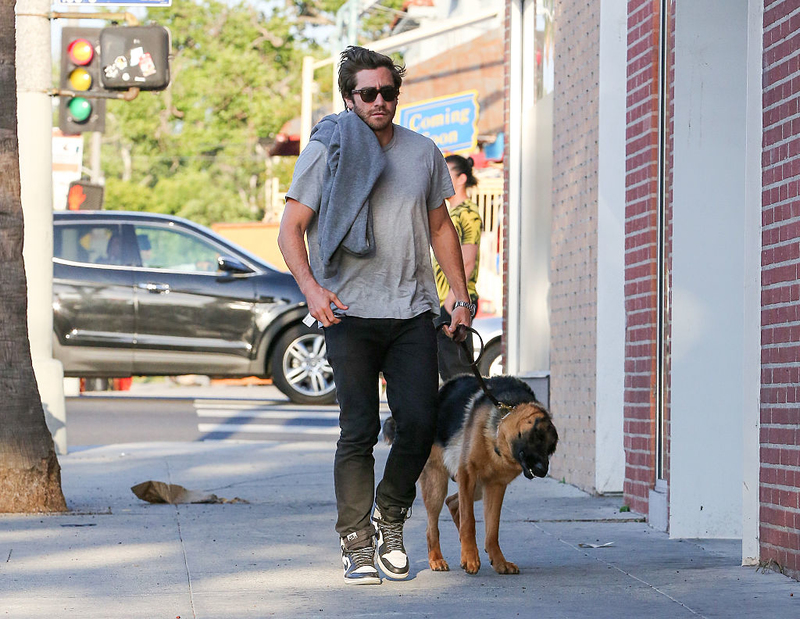 They Adopted a Dog | Getty Images Photo by Bauer-Griffin/GC Images