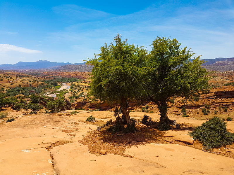 Keeping the Desert at Bay | Shutterstock