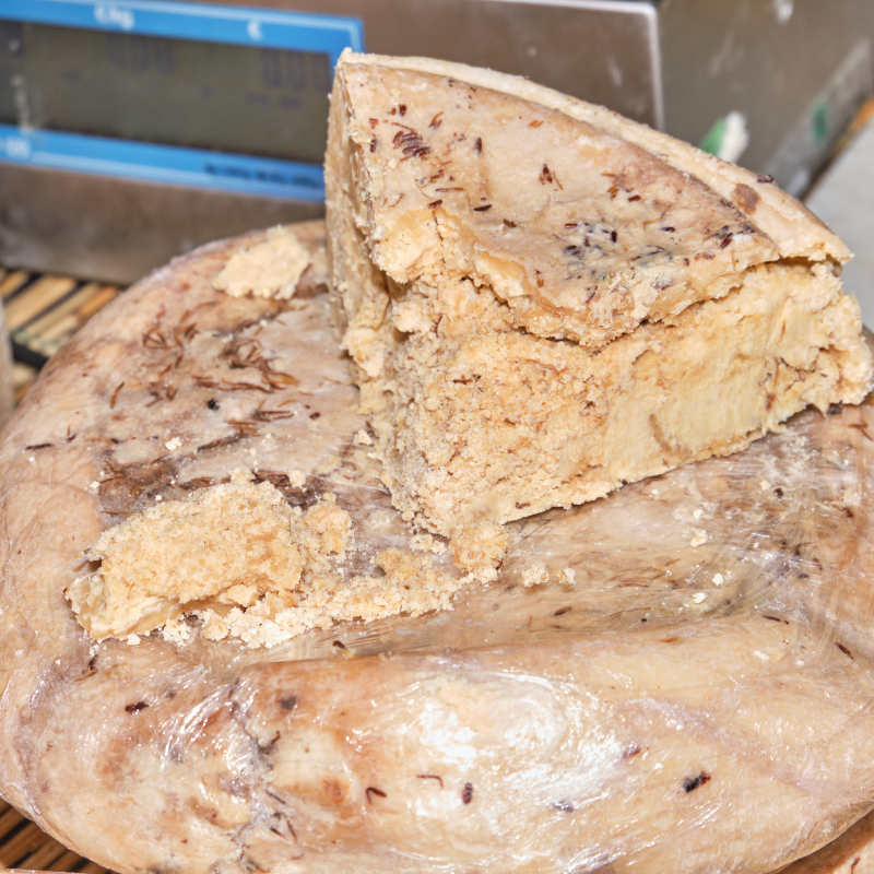 Casu Marzu | Shutterstock