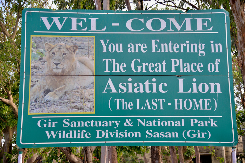 Home to Tigers and Lions in the Wild | Alamy Stock Photo