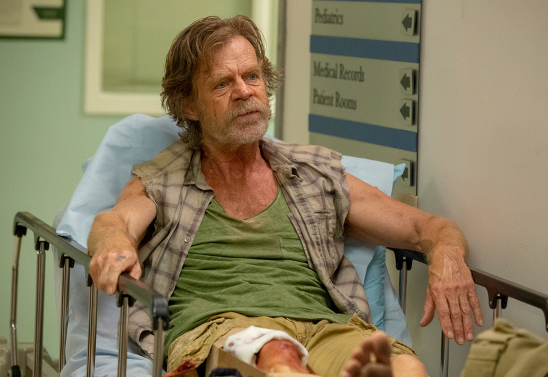 Frank Gallagher | Alamy Stock Photo