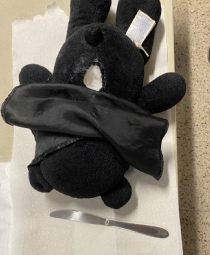 Bear-y Weird Stuff | Facebook/@TSA