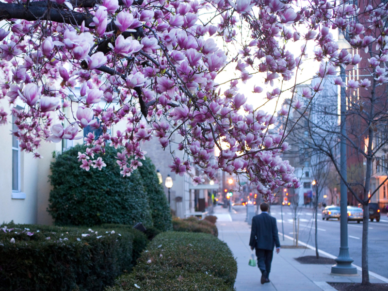 Arlington-Alexandria, Washington DC | Alamy Stock Photo