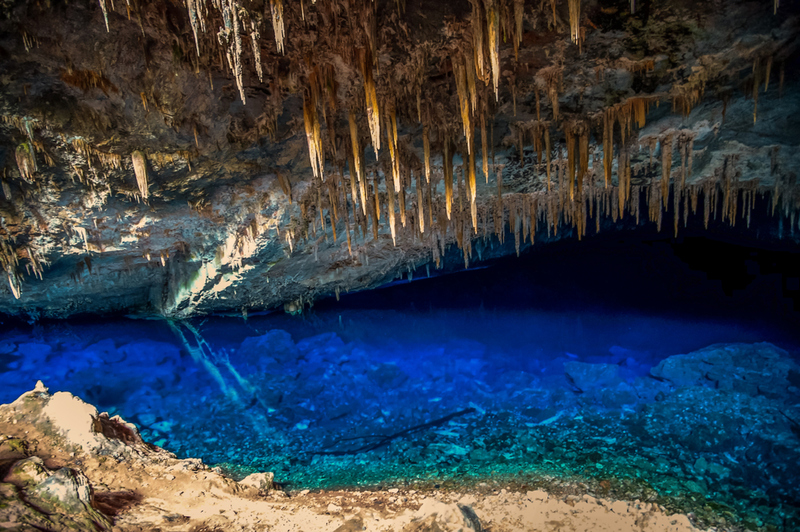 The Spectacular Shades of Blue | Shutterstock